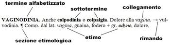 vaginodinia, colpalgia, lemma, encicolpedia sessuale